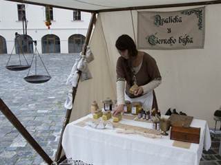 Vígľašský zámok 11