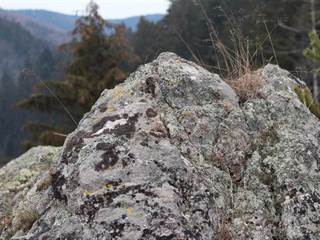 Hradisko na Kláštore 04 - Daniela Tomášiková