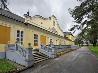 Kaštieľ v Hodkovciach 1 - Andrej Macko