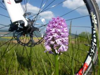 Rozhľadňa na Hájnici 4 - Marcel Pribiš