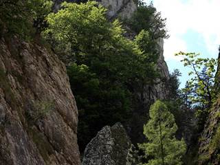 Manínska tiesňava 6 - Daniela Tomášiková