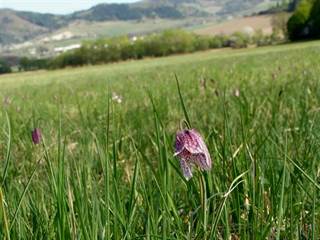 Prírodná rezervácia Pstruša 3 - Daniela Tomášiková