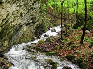 Veľká Bránica 3 - Majtán Robo