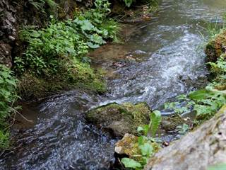 Manínska tiesňava 9 - Daniela Tomášiková