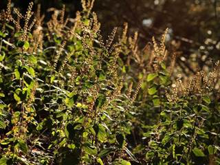 Hrdovická 8 - Daniela Tomášiková