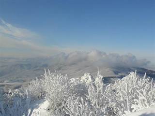 Šimonka 4 - Paulina Melková