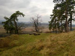 Hrad Dobrá Niva 5 - Palino Peťovský