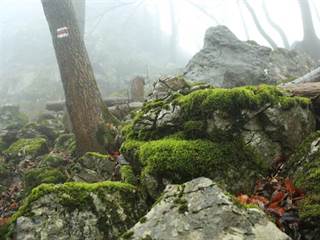 Havrania skala 12 - vypadni.sk