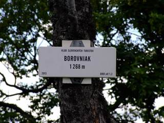 Borovniak-3
