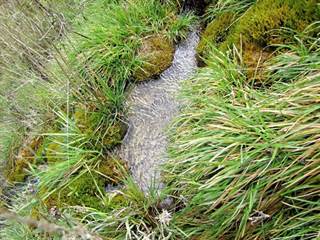 Bukovinka 9 - Majtán Robo