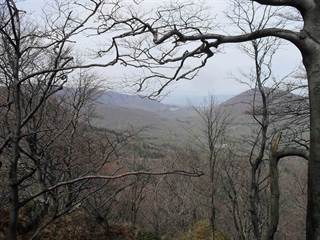 Praporec 5 - Paulina Melková