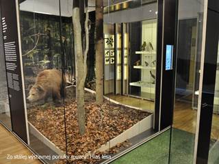 Lesnícke múzeum 2 - Ing. Marek Vanga