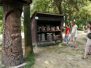 Včelárska paseka 3 - Juraj Bondora