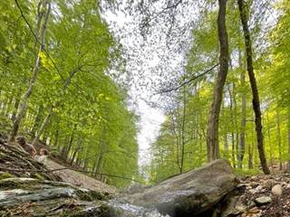 Kučišdorfská dolina