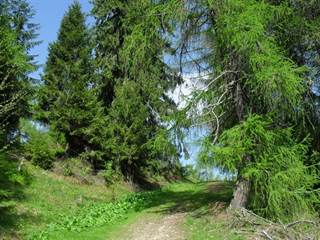 Sľubica 6 - Paulina Melková