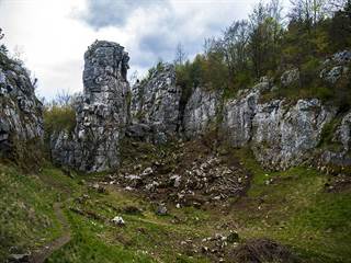 Dreveník 2 - Erik Adamčiak