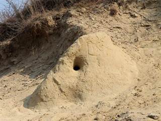 Sandberg 7 - Daniela Tomášiková