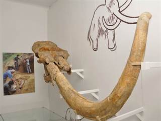 Balneologické múzeum 3