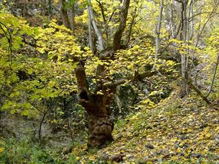 Zádielska tiesňava 11 - Daniela Tomášiková