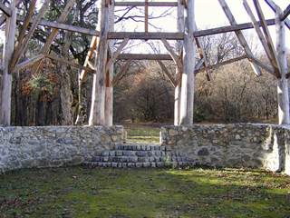 Rastlinný kostol 6 - Viktor Szemán