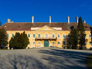 Kaštieľ v Malackách 1 - S. Osuský