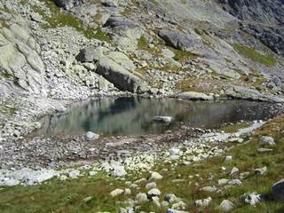 Päť Spišských plies 4 - Branork