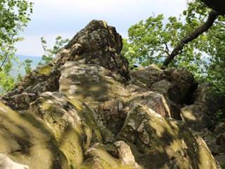 Tisové skaly 04 - Daniela Tomášiková