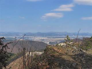 Biela skala 4 - Majtán Robo