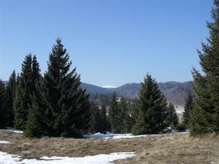 Dobšinský kopec 2 - Paulina Melková