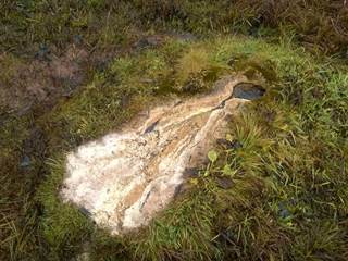 Mičinské travertíny 6 - Palino Peťovský