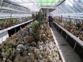 Arborétum Borová hora 9