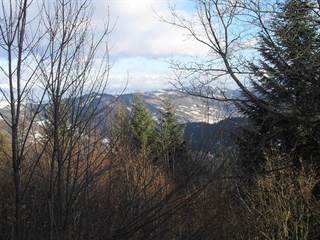 Pálenica 3 - Paulina Melková