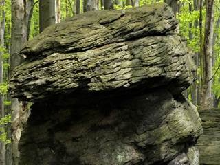 Krivá 2 - Daniela Tomášiková