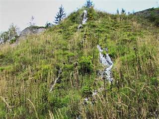 Bukovinka 8 - Majtán Robo