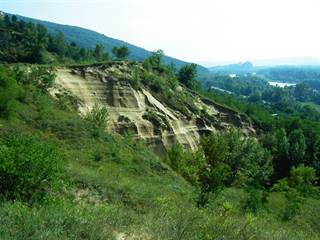 Sandberg 2 Peter Orság