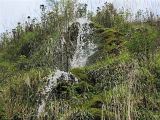 Bukovinka 7 - Majtán Robo