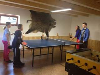 Chata pod vŕškom 15