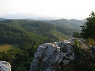 Vyšehrad 5 - Palino Peťovský