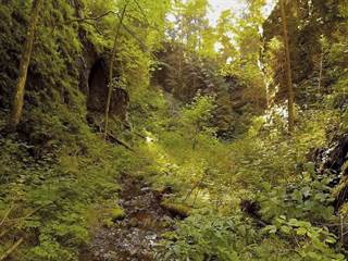 Tiesňava Hučiaky 05 - Majtán Robo