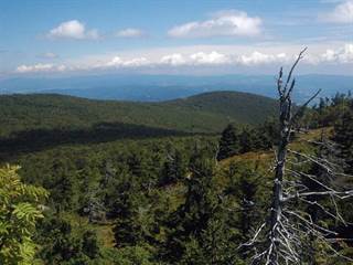 Vtáčnik 2 - Stanislav Doronenko