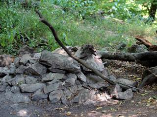 Dračí hrádok 4 - Daniela Tomášiková