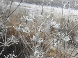 Pálenica 5 - Paulina Melková