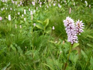 Mlynická dolina 5 - Podzemnik