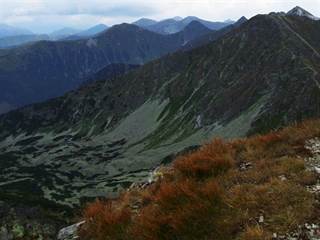 Spálená 4 Jerzy Opioła