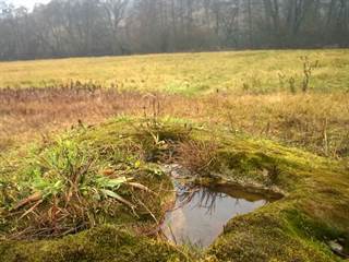 Mičinské travertíny 2 - Palino Peťovský