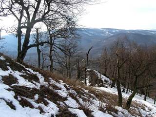 Vysoká (Malé K.) 2 - Lure