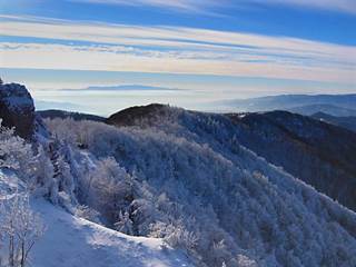 Kľak 5 - Majtán Robo