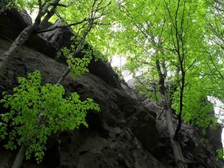 Zámutovské skaly 8 - Paulina Melková