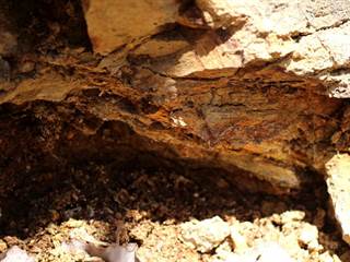 Zolniansky lahar 5 - Daniela Tomášiková