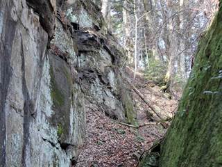 Parkaň 02 - Daniela Tomášiková